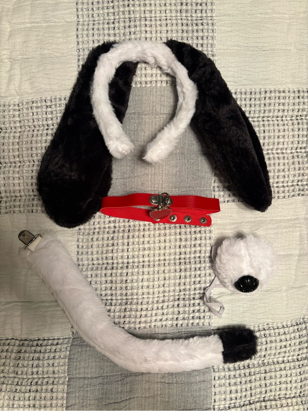 Black & White Plush Dog Ear Headband and Tail Set with Red Collar Costume